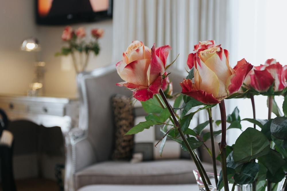 The Light House Boutique Suites Paarl Extérieur photo