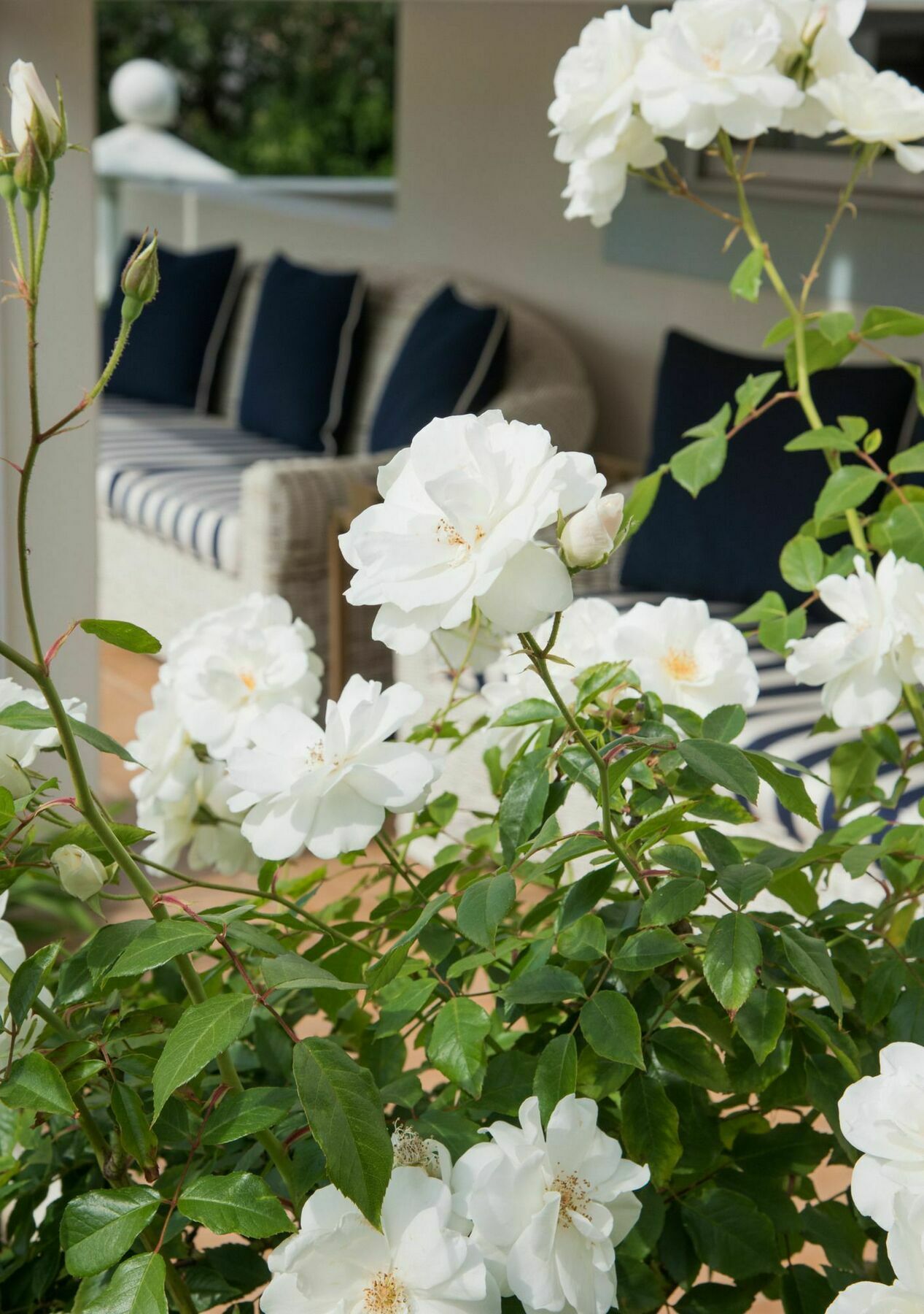The Light House Boutique Suites Paarl Extérieur photo